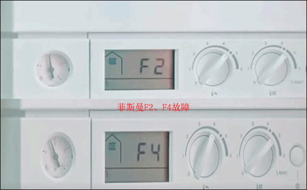 ˹F2˹F4