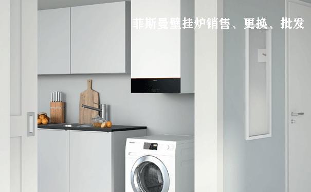 菲斯曼壁掛爐價格