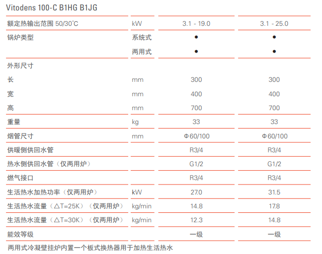 菲斯曼19KW冷凝爐
